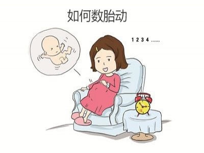 胎兒好不好，胎動(dòng)全知道，數(shù)胎動(dòng)的重要性
